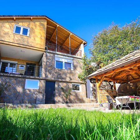 Vila Nemir Zavojsko Jezero 피로트 외부 사진