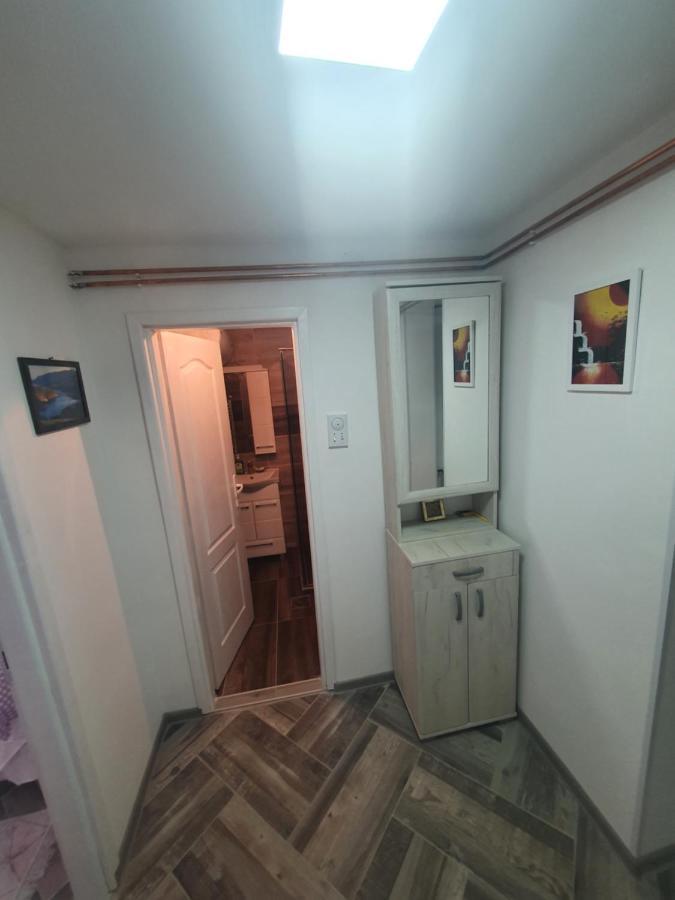 Vila Nemir Zavojsko Jezero 피로트 외부 사진